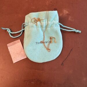 Tiffany & Co. Elsa Peretti Gold Initial N Necklace
